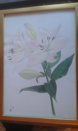 Lilja (30,5x22,9cm) 300:-